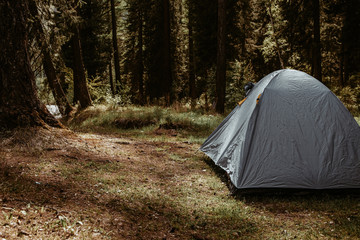 tent in forest