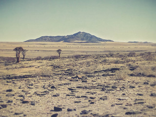Fototapeta na wymiar view of the dry land in Namibia