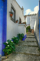 Fototapeta na wymiar White flowers of Calla, on the narrow streets of the medieval city of Obidos in Portugal