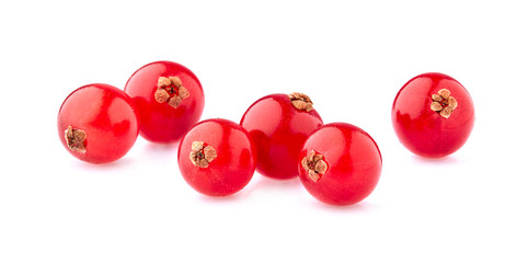 Red currant berries on White Background