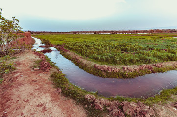 Agriculture and traditional irrigation in Moroccan oases