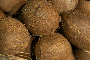Close-up of exotic coconut on supermarket counter