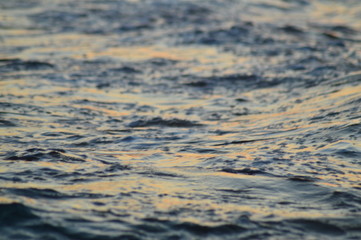 sea waves on the beach
