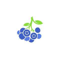 Blueberry. Vector illustration. Isolated blueberries on white background 