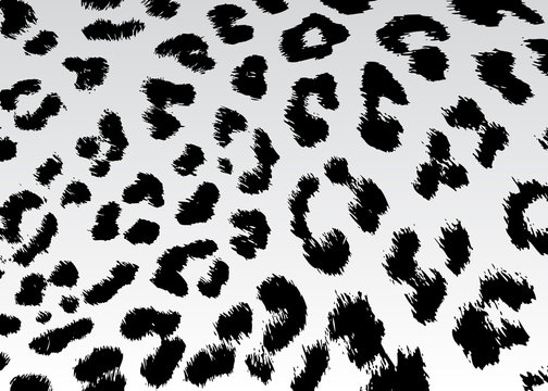 Print background texture leopard snow jaguar pattern