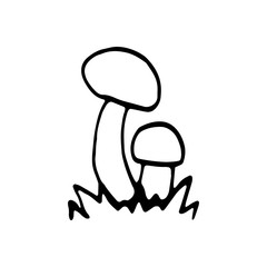 Single hand drawn forest mushroom for autumn decoration. Doodle vector illustration. Isolated on white background