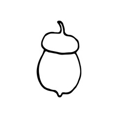 Single hand drawn acorn for autumn decoration. Doodle vector illustration. Isolated on white background