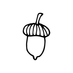 Single hand drawn acorn for autumn decoration. Doodle vector illustration. Isolated on white background