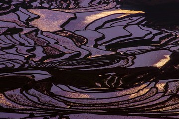 Fototapeta premium Yuanyang Honghe Hani Reisterrassen Rice terraces paddies Yunnan China 