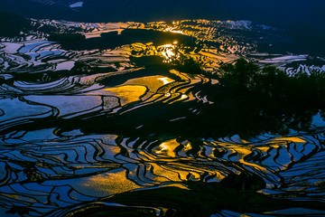 Yuanyang Honghe Hani Reisterrassen Rice terraces paddies Yunnan China 