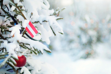 Christmas Austria. Christmas tree covered with snow and a flag. Winter background scene outdoor. Holiday greetings card