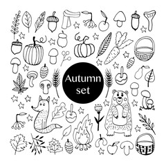 Cute doodle autumn set with acorns, leaves, mushrooms, baskets, cute animals, pumpkins and other...