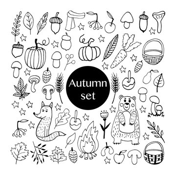 Cute doodle autumn set with acorns, leaves, mushrooms, baskets, cute animals, pumpkins and other gifts of fall. Hand drawn vector illustration for greeting cards, posters and seasonal design.