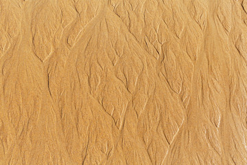 Drawing on the sand made by waves
