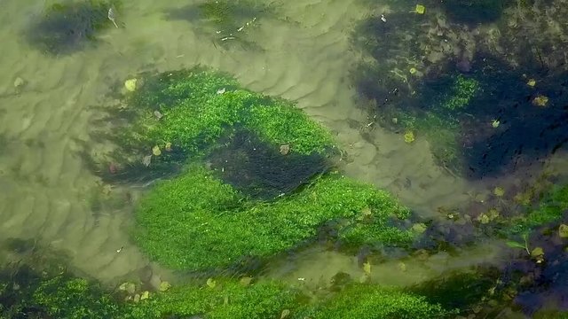 M&auml;anderndes flie&szlig;endes Gew&auml;sser in einem sandigen Bachbett / Fluss mit Sand 