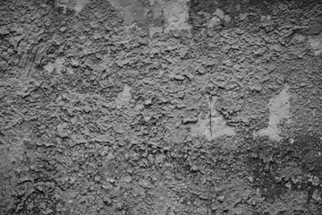 Beautiful vintage background. Abstract grunge decorative stucco wall texture. Wide rough background with copy space for text.