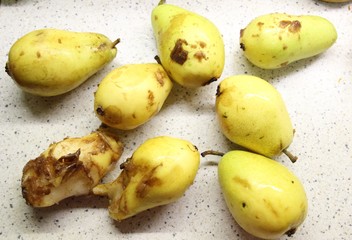 Ugly food rotten yellow pears on white narble background