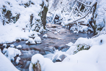 Flowing river between rocks and fallen trees in winter
