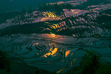 Fototapeta na wymiar Yuanyang Honghe Hani Reisterrassen Rice terraces paddies Yunnan China 