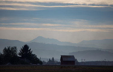 Misty Barn morning