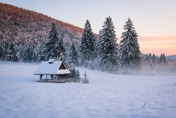 Shelter In The Misty Meadow Surrounded By Snow Covered Spruce Trees In The Last Evening Sunlight