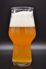 glass of beer on black background, filled glass, drink on black background