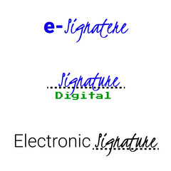 Fototapeta na wymiar electronic digital signature icon. concept vector illustration