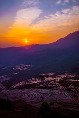 Obraz premium Yuanyang Honghe Hani Reisterrassen Rice Terraces Rice paddies Yunnan China