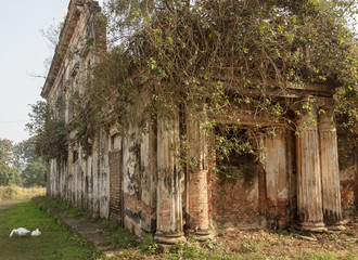 Murshidabad, West Bengal/India - January 17 2018: The elegant architectural details of an old overgrown, ruined structure inside the grounds of the Kathgola Palace.