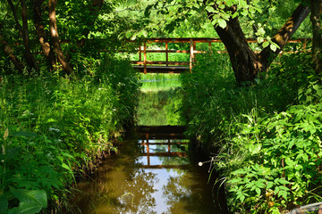 bridge over stream in the forest, wooden bridge in the park