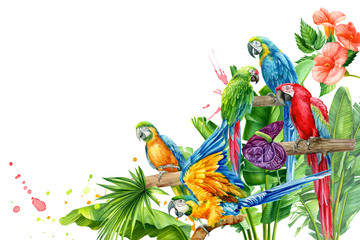 jungle composition, parrot, flowers plumeria, leaves palm, anthurium, succulent on an isolated white background, watercolor drawing, summer postcard © Hanna