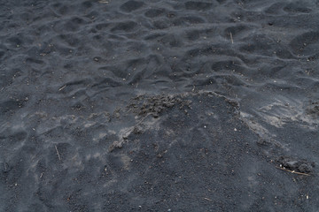 Unusual Landscape and Plants Growing on Side of Volcano