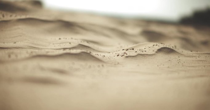 Sand dunes at ocean beach at sunset, with the wind blowing and the dust.Cinematic closeup slow motion 4K footage. Shot with Blackmagic Design Pocket Cinema Camera 4K.
