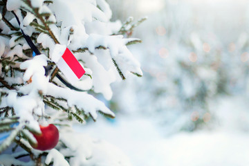 Christmas Monaco. Xmas tree covered with snow, decorations and Monaco flag. Snowy forest background in winter. Christmas greeting card.