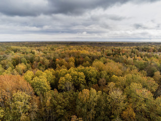 Aerial drone view on a big green forest and blue cloudy sky. Selective focus, Jurmala region of Latvia.