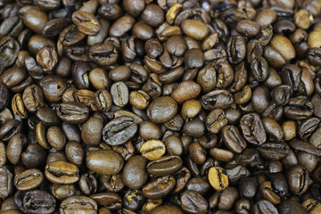 coffee beans on white background