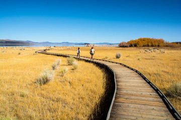 Beautiful path to the Mono Lake. Go and relax.