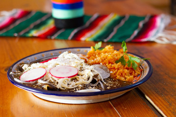 Fototapeta na wymiar Mexican food - mole