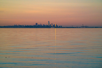 Fototapeta premium San Francisco Skyline