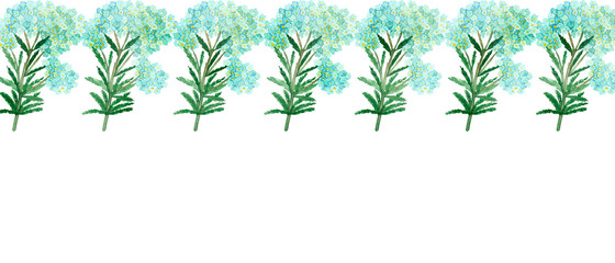 Watercolor hand painted nature romantic banner line composition with blue flower yarrow and green branches and leaves on the white background for invitations and cards with the space for text