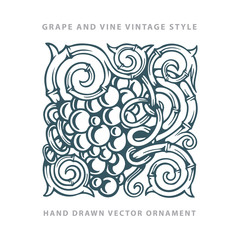 Grapes. Grape and vine engraving style hand drawn vector illustration. Grape and vine ornament. Part of set. 