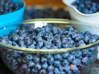 bowls of blueberries