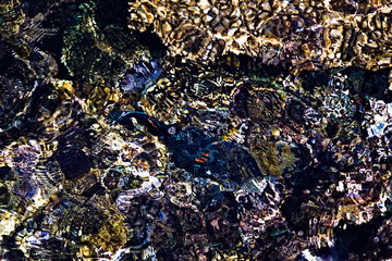 Abstract background of reflective water surface with rocks, corals and fish below