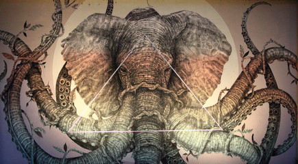elephant on white background
