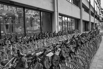 Bikes for rent