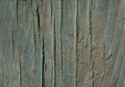 Natural wood background with texture. Horizontal photo