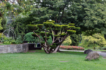 city park in turin in italy 