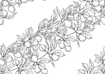 Lemon tree branch with lemons, flowers and leaves. Seamless pattern, background. Outline hand drawing vector illustration in black, white colors.