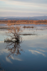 sunset over the lake