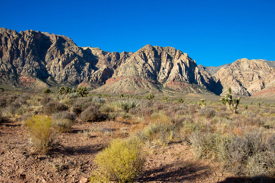 Colorful mountains, native plants, and the Mojave Desert floor in autumn in Nevada